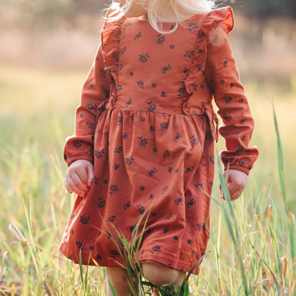 ⭐️Carters dress